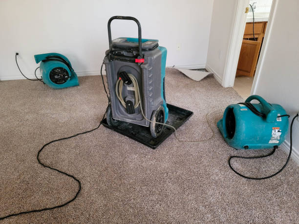 Best Water damage restoration insurance claims  in Blue Rapids, KS