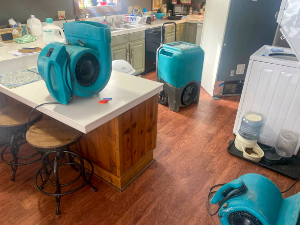 Best Flood damage cleanup  in Blue Rapids, KS