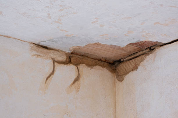 Best 24-hour water damage restoration  in Blue Rapids, KS