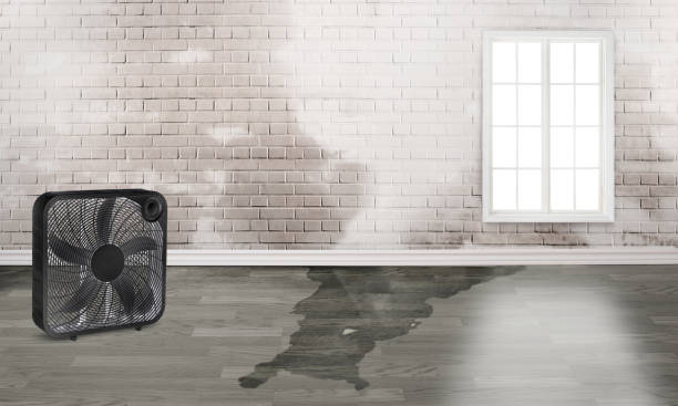 Best Sewage cleanup and water damage restoration  in Blue Rapids, KS