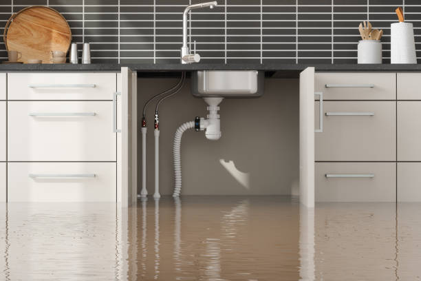 Best Carpet water damage restoration  in Blue Rapids, KS