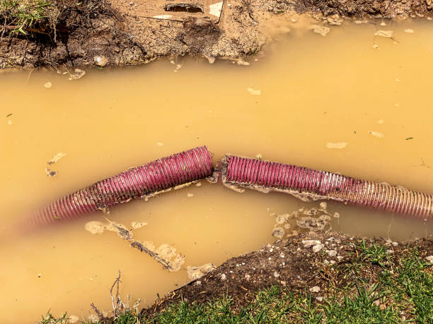 Best Residential water damage restoration  in Blue Rapids, KS