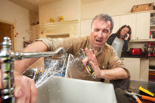 Best Professional water damage repair  in Blue Rapids, KS